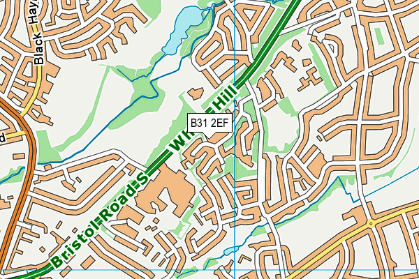 B31 2EF map - OS VectorMap District (Ordnance Survey)