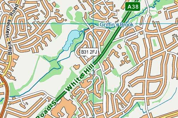 B31 2FJ map - OS VectorMap District (Ordnance Survey)