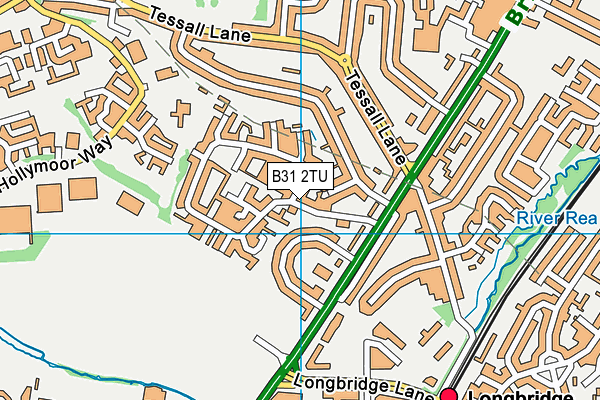 B31 2TU map - OS VectorMap District (Ordnance Survey)