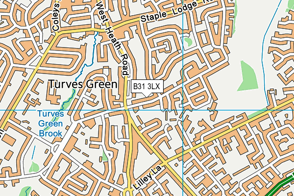 B31 3LX map - OS VectorMap District (Ordnance Survey)