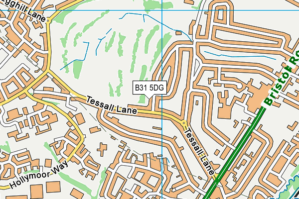 B31 5DG map - OS VectorMap District (Ordnance Survey)