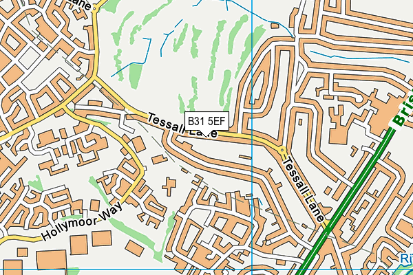 B31 5EF map - OS VectorMap District (Ordnance Survey)