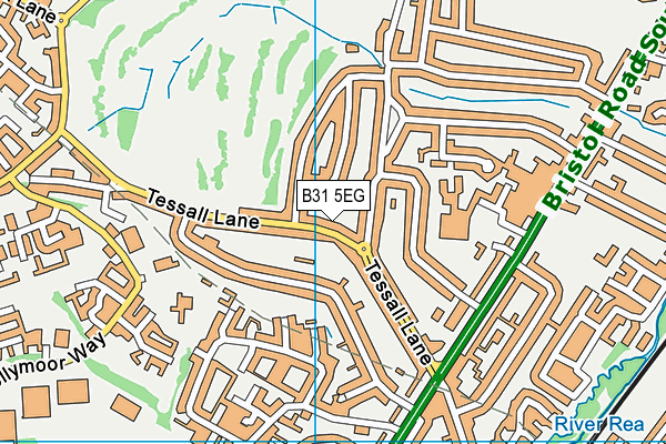 B31 5EG map - OS VectorMap District (Ordnance Survey)