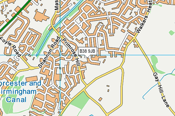 St Paul's Catholic Primary School map (B38 9JB) - OS VectorMap District (Ordnance Survey)