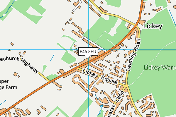Lickey Hills Primary School and Nursery map (B45 8EU) - OS VectorMap District (Ordnance Survey)