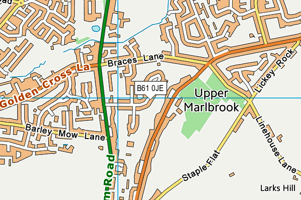 B61 0JE map - OS VectorMap District (Ordnance Survey)