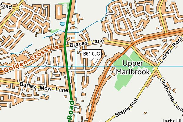 B61 0JG map - OS VectorMap District (Ordnance Survey)