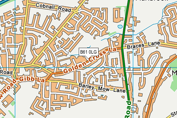 B61 0LG map - OS VectorMap District (Ordnance Survey)