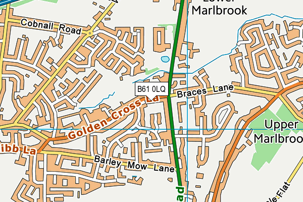 B61 0LQ map - OS VectorMap District (Ordnance Survey)