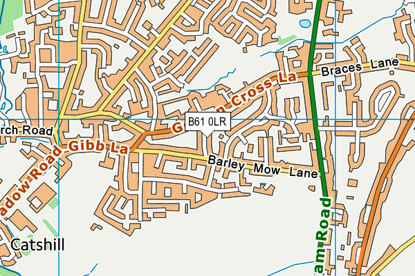 B61 0LR map - OS VectorMap District (Ordnance Survey)