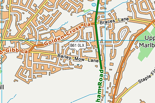 B61 0LX map - OS VectorMap District (Ordnance Survey)