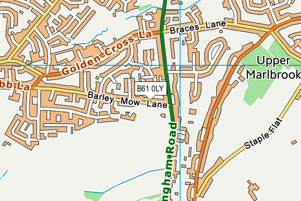 B61 0LY map - OS VectorMap District (Ordnance Survey)