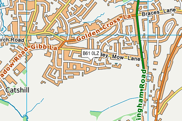 B61 0LZ map - OS VectorMap District (Ordnance Survey)