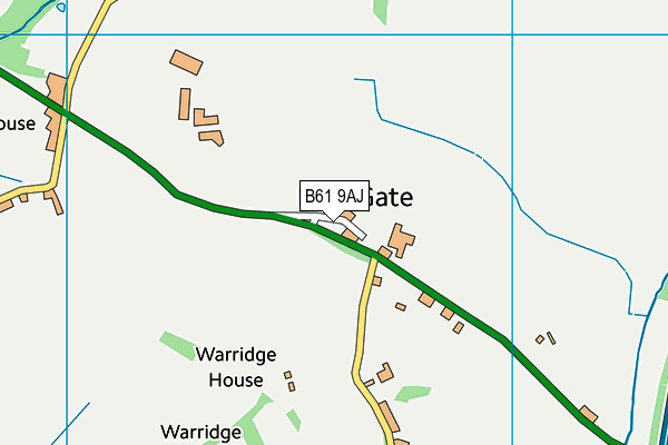 B61 9AJ map - OS VectorMap District (Ordnance Survey)