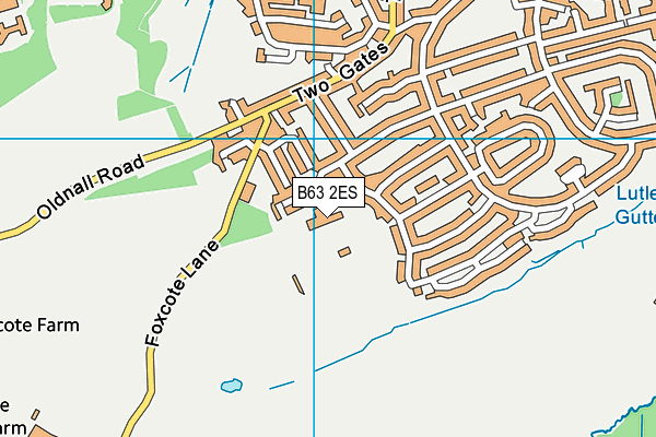 Caslon Primary Community  School map (B63 2ES) - OS VectorMap District (Ordnance Survey)