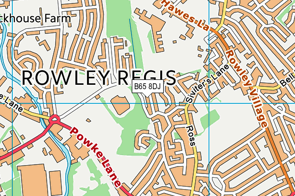 B65 8DJ map - OS VectorMap District (Ordnance Survey)