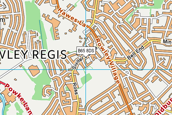 B65 8DS map - OS VectorMap District (Ordnance Survey)