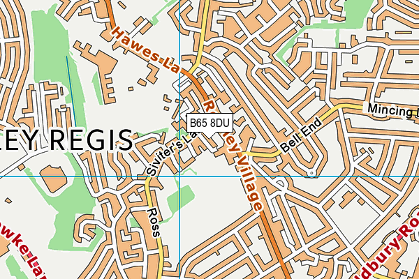 B65 8DU map - OS VectorMap District (Ordnance Survey)