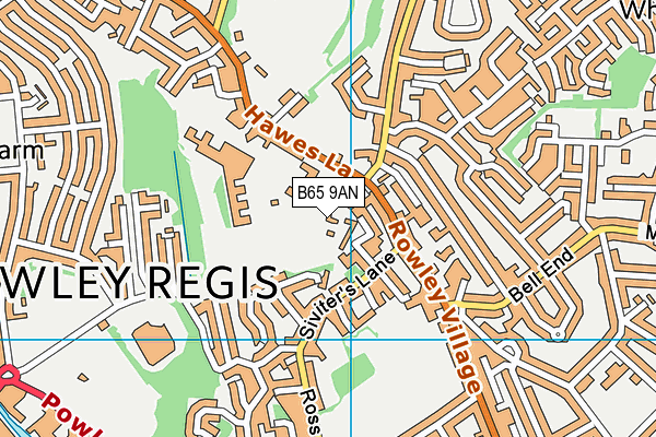 Rowley Regis Learning Campus map (B65 9AN) - OS VectorMap District (Ordnance Survey)