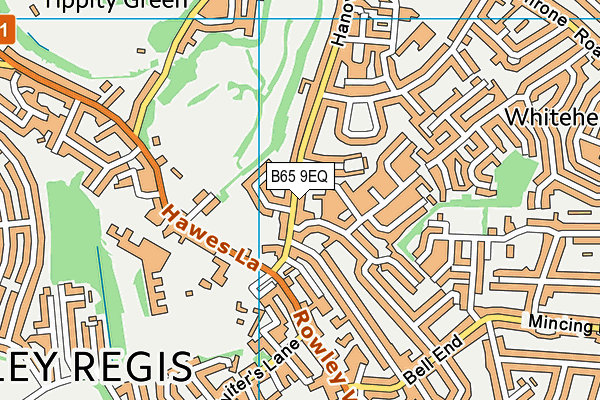 B65 9EQ map - OS VectorMap District (Ordnance Survey)