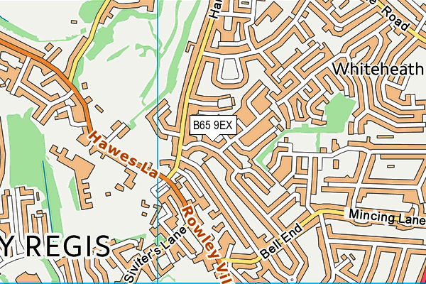 B65 9EX map - OS VectorMap District (Ordnance Survey)