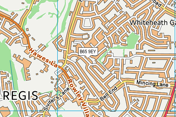 B65 9EY map - OS VectorMap District (Ordnance Survey)