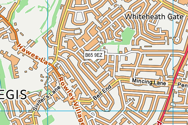 B65 9EZ map - OS VectorMap District (Ordnance Survey)