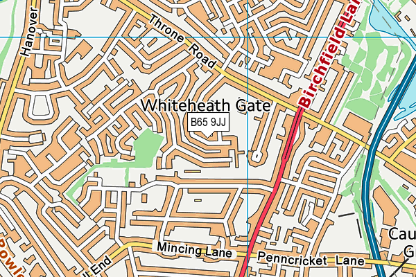 B65 9JJ map - OS VectorMap District (Ordnance Survey)