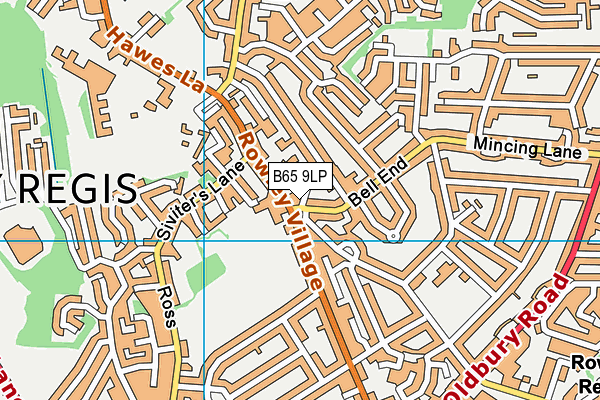B65 9LP map - OS VectorMap District (Ordnance Survey)
