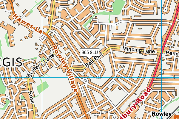 B65 9LU map - OS VectorMap District (Ordnance Survey)