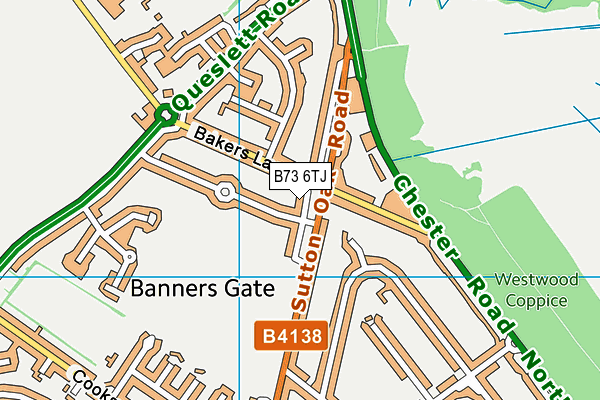 B73 6TJ map - OS VectorMap District (Ordnance Survey)