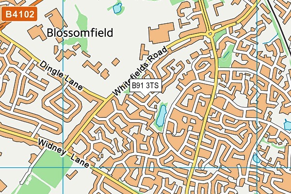 B91 3TS map - OS VectorMap District (Ordnance Survey)