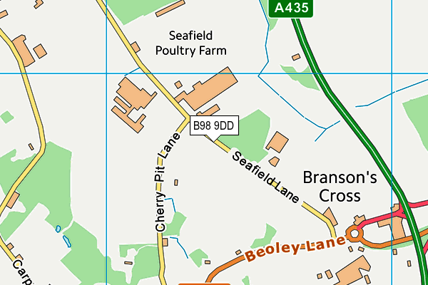 B98 9DD map - OS VectorMap District (Ordnance Survey)