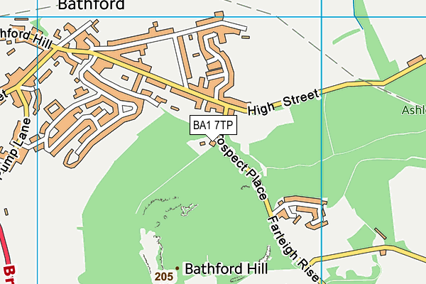 BA1 7TP map - OS VectorMap District (Ordnance Survey)