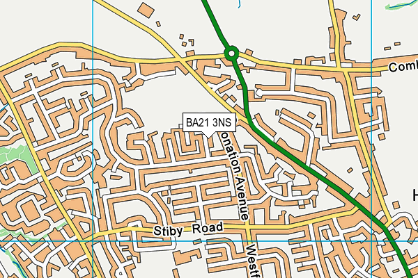 BA21 3NS map - OS VectorMap District (Ordnance Survey)