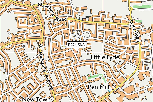 BA21 5NS map - OS VectorMap District (Ordnance Survey)