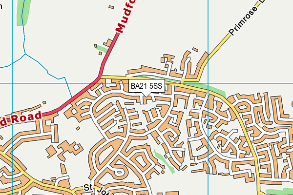 BA21 5SS map - OS VectorMap District (Ordnance Survey)