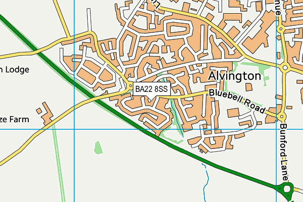 BA22 8SS map - OS VectorMap District (Ordnance Survey)
