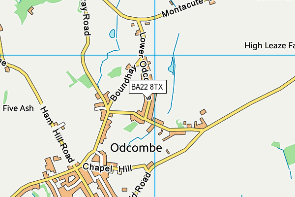 BA22 8TX map - OS VectorMap District (Ordnance Survey)