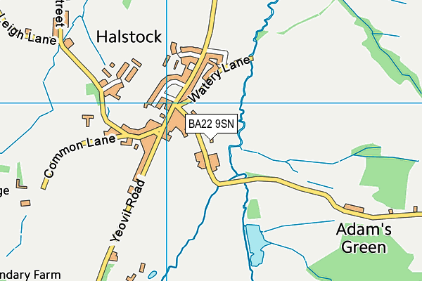 BA22 9SN map - OS VectorMap District (Ordnance Survey)
