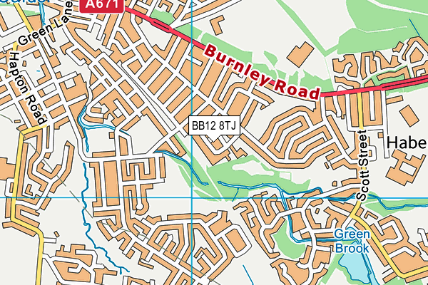 BB12 8TJ map - OS VectorMap District (Ordnance Survey)