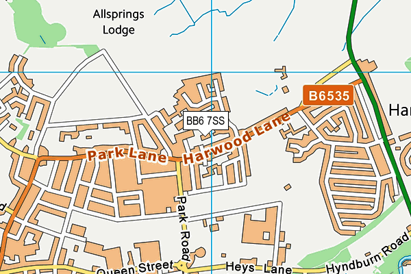 BB6 7SS map - OS VectorMap District (Ordnance Survey)