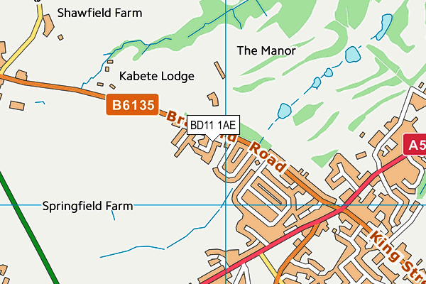 BD11 1AE map - OS VectorMap District (Ordnance Survey)