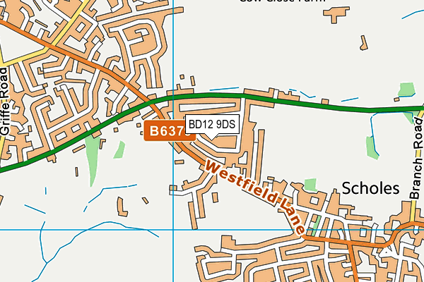 BD12 9DS map - OS VectorMap District (Ordnance Survey)