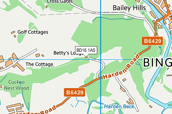 BD16 1AS map - OS VectorMap District (Ordnance Survey)