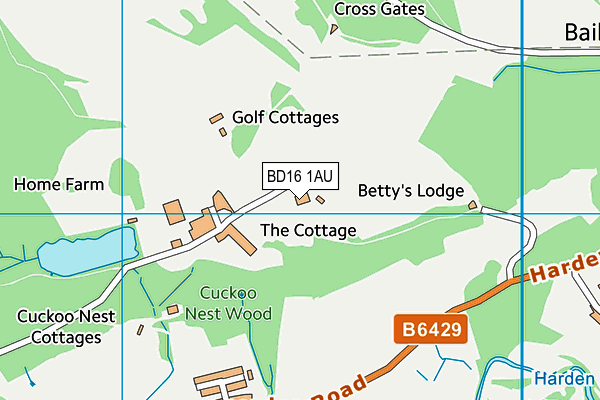 BD16 1AU map - OS VectorMap District (Ordnance Survey)