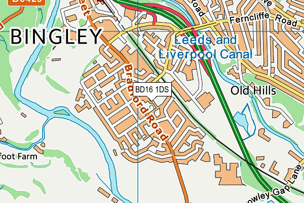 BD16 1DS map - OS VectorMap District (Ordnance Survey)