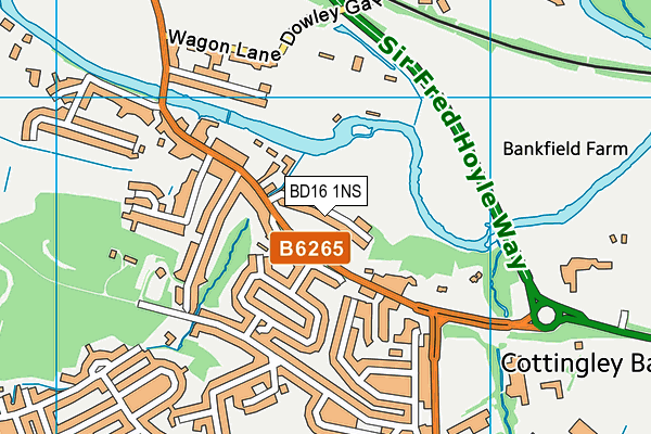 BD16 1NS map - OS VectorMap District (Ordnance Survey)