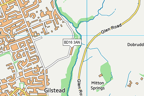 BD16 3AN map - OS VectorMap District (Ordnance Survey)