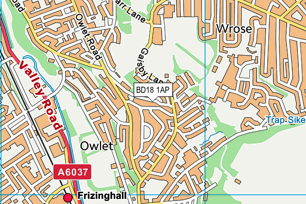 BD18 1AP map - OS VectorMap District (Ordnance Survey)